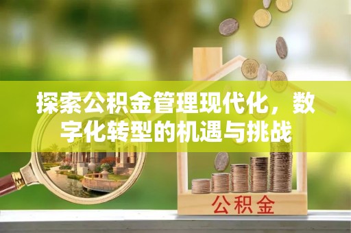 蕲春探索公积金管理现代化，数字化转型的机遇与挑战