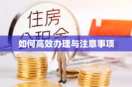 蕲春如何高效办理与注意事项
