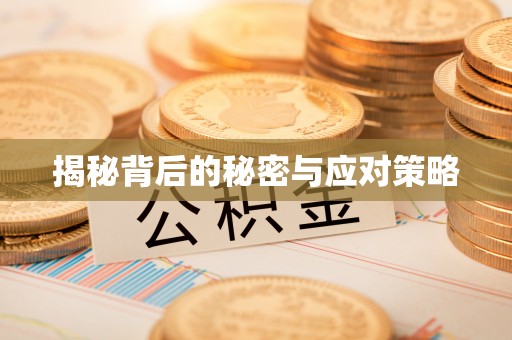 蕲春揭秘背后的秘密与应对策略