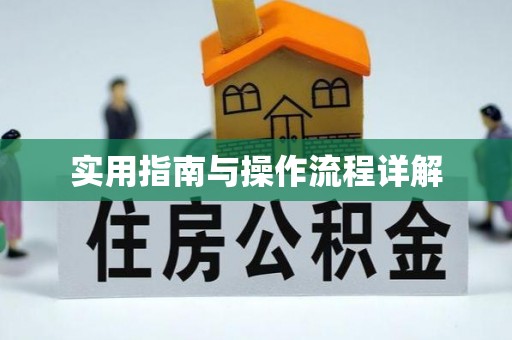 蕲春实用指南与操作流程详解