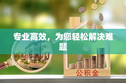 蕲春专业高效，为您轻松解决难题